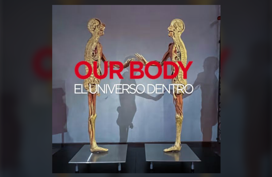 Our Body: El Universo dentro - La experiencia