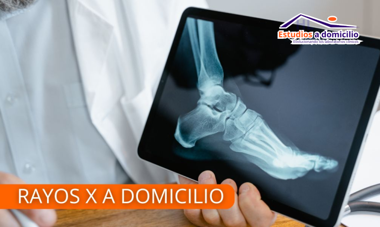 HL Estudios a Domicilio