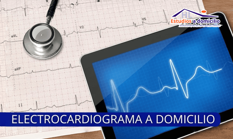 HL Estudios a Domicilio