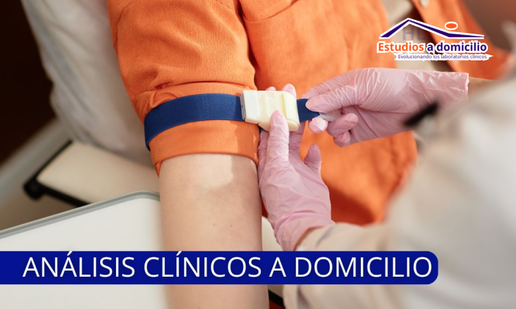 HL Estudios a Domicilio