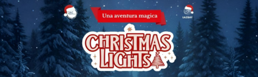 CHRISTMAS LIGHTS 2025 28 NOV