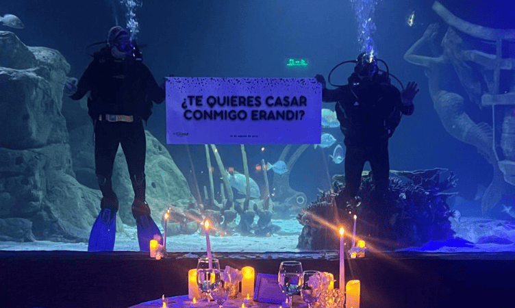 SEA LAND, Acuarioventura León