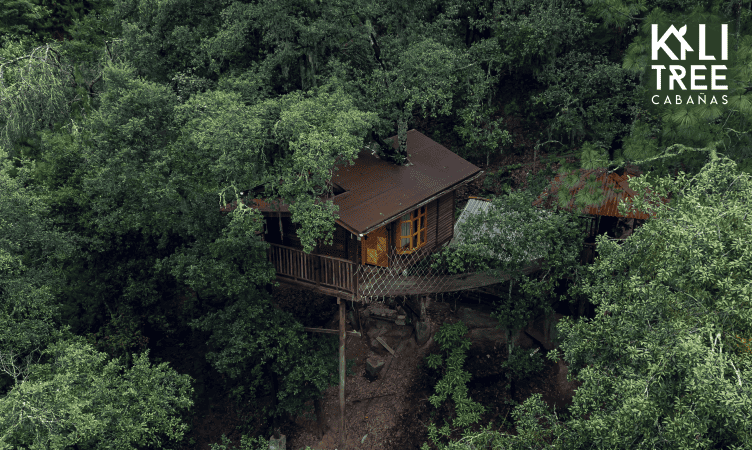 KALI TREE CABAÑAS